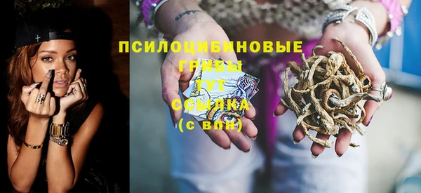 mdpv Белокуриха
