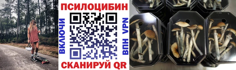 ссылка на мегу как зайти  Феодосия  Псилоцибиновые грибы GOLDEN TEACHER 